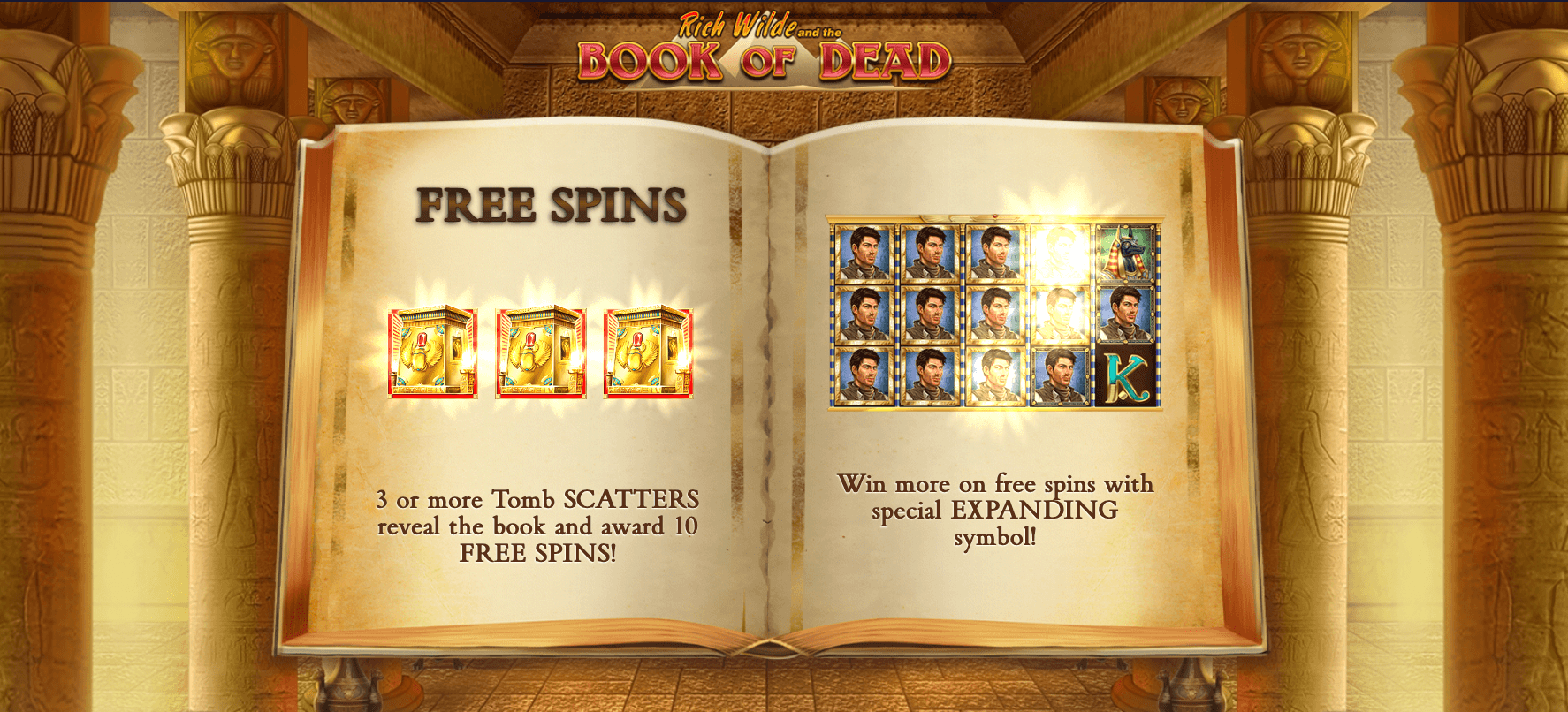 Book of Dead Slot